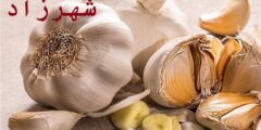 فص ثوم على معدة فارغة - لن تصدقى آثاره على جسمك