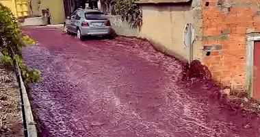 نهر من النبيذ الأحمر يغمر أحد شوارع البرتغال بعد انفجار خزانين في أحد مصانع النبيذ