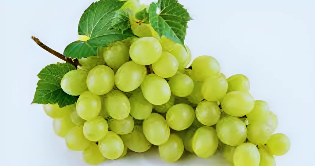تناول العنب يوميًا قد يُحسن البصر نصائح لتناول الكميا المناسبه