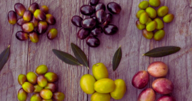  الزيتون: شجرة مباركة وغذاء صحي و فوائد عديده