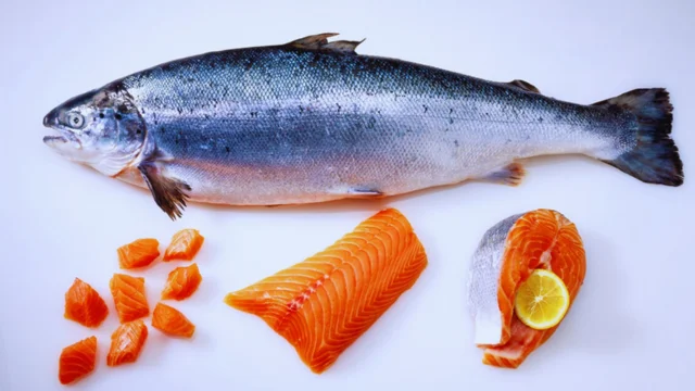 تعرف على سمك السلمون و فوائده الغذائيه و الصحيه
