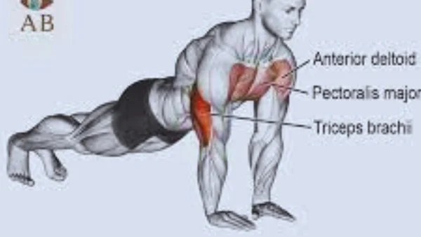 أفضل تمارين لبناء عضلات الصدر العلوى وتضخيمه بالصور والفيديو