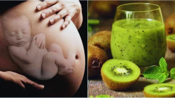 فوائد الكيوي للحامل: وأضرار تناول الكيوي خلال الحمل تعرفى عليها