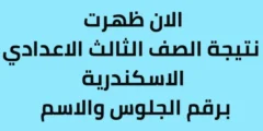 نتيجة الصف الثالث الاعدادي إسكندرية 2024