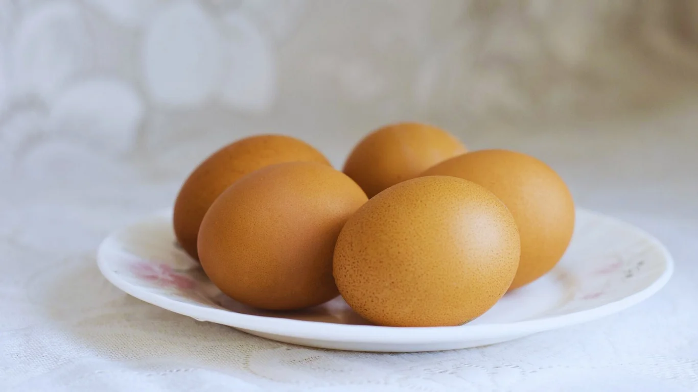 أضرار البيض: هل تناول البيض يوميا مضر بالنسبة للبناء العضلات