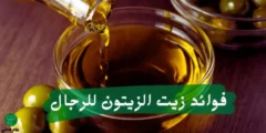 أهم فوائد زيت الزيتون للجنس وزيادة الرغبة الجنسية