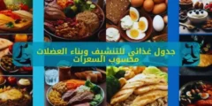 أقوى نظام غذائي للتنشيف وبناء العضلات فى كمال الأجسام