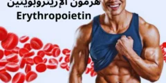 هرمون الإريثروبويتين Erythropoietin