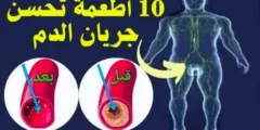 10 أطعمة لزيادة تدفق الدم إلى القضيب بشكل طبيعى