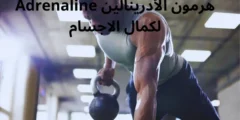 هرمون الأدرينالين Adrenaline لكمال الاجسام