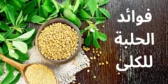 فوائد الحلبة للكلى: وكيفية استخدامها لتنظيف الكلى