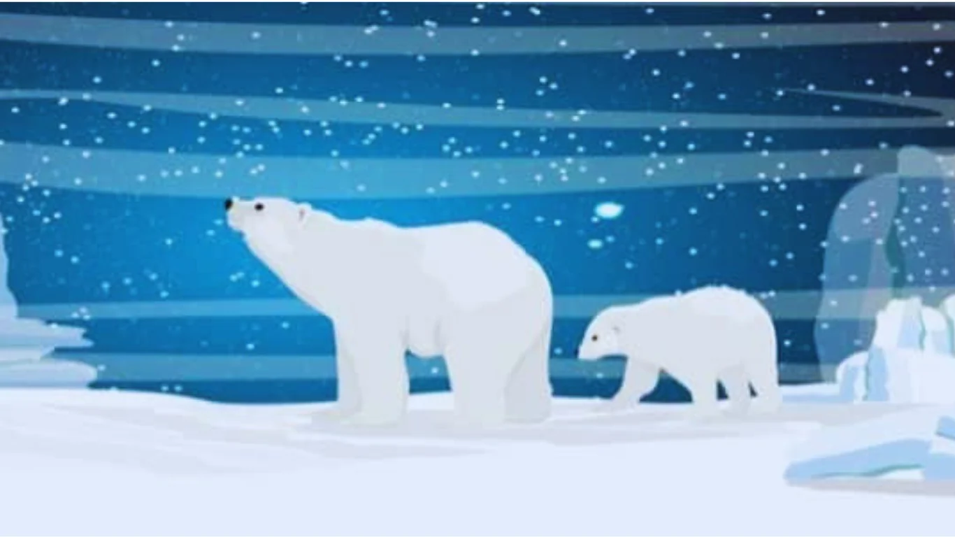 قصة مغامرة الدب القطبي