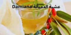 ما هى عشبة الدميانة-Damiana فوائدها وأضرارها