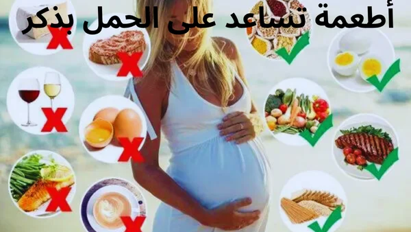 أفضل أطعمة تساعد على الحمل بذكر مجربه ومضمونة