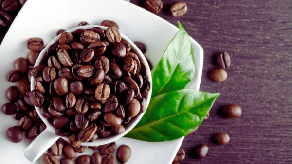 فوائد قشر القهوة للصحة 9 فوائد مهمة