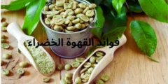 فوائد القهوة الخضراء وأضرارها وكيفية تحضيرها