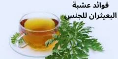 فوائد عشبة البعيثران للجنس