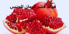 فوائد قشر الرمان للجنس وضعف الانتصاب