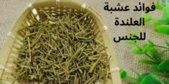 فوائد عشبة العلندة للجنس