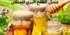 فوائد عسل الطلح البري للجنس للرجال والنساء