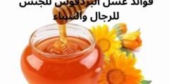 فوائد عسل البردقوش للجنس للرجال والنساء