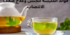 فوائد المليسة للجنس وعلاج ضعف الانتصاب