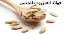 فوائد العنزروت للجنس وعلاج ضعف الانتصاب