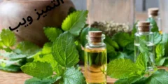 فوائد عشبة المليسة-Melissa officinalis واضرارها ومعلومات اول مرة تعرفها