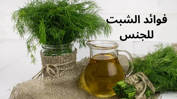 فوائد الشبت للجنس للرجال والنساء