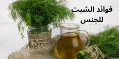 فوائد الشبت للجنس للرجال والنساء